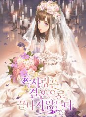 1ace3c3d68540b63d89765ce04c94b35