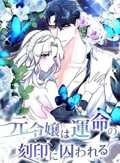 252784bc9d2a9d9ef427d3a08675dc3b