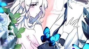 252784bc9d2a9d9ef427d3a08675dc3b