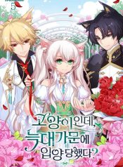 419cae87c6f48ad65aeb51775bf40846