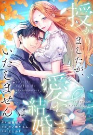 49fd9c2372af9d3a9b30fcffe28961b3