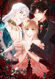 5529526654af90c29ac0256871d065cc