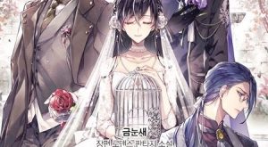 64bb7d9dfbf07fe7df2b8b8e93ed79a8