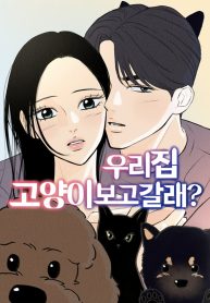 6528abdc2e0d0c0dfa5ed2b08faece33