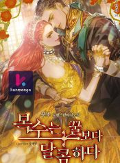 c796a446ee161b3e2c6eda97806e157f