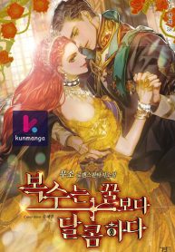 c796a446ee161b3e2c6eda97806e157f