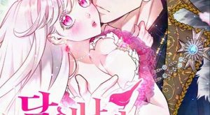 dd2ef9f688edad4c7e06e0c086e13ae1