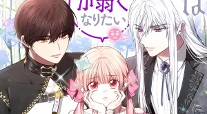 50b7026ccdf2d4c15af2fcaea028c342